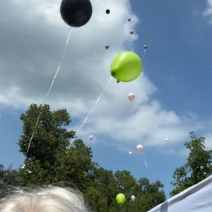 Img 2524